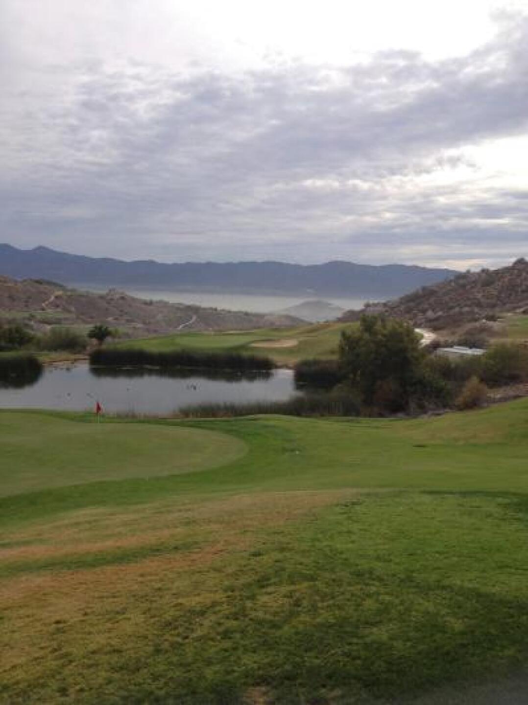 (Photo submitted by tpdf on 11/15/2013)