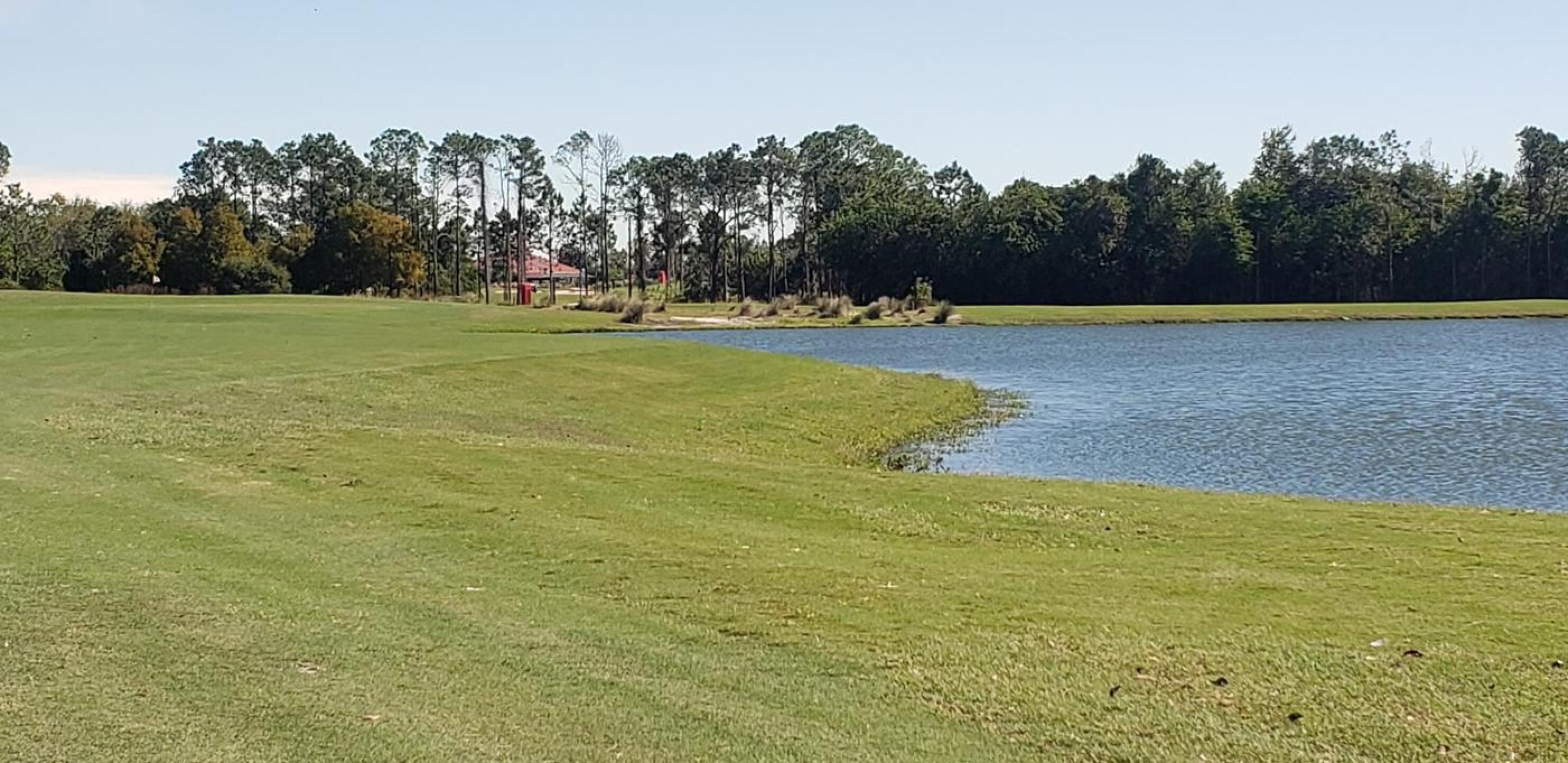 (Photo submitted by walt11914 on 11/07/2021)