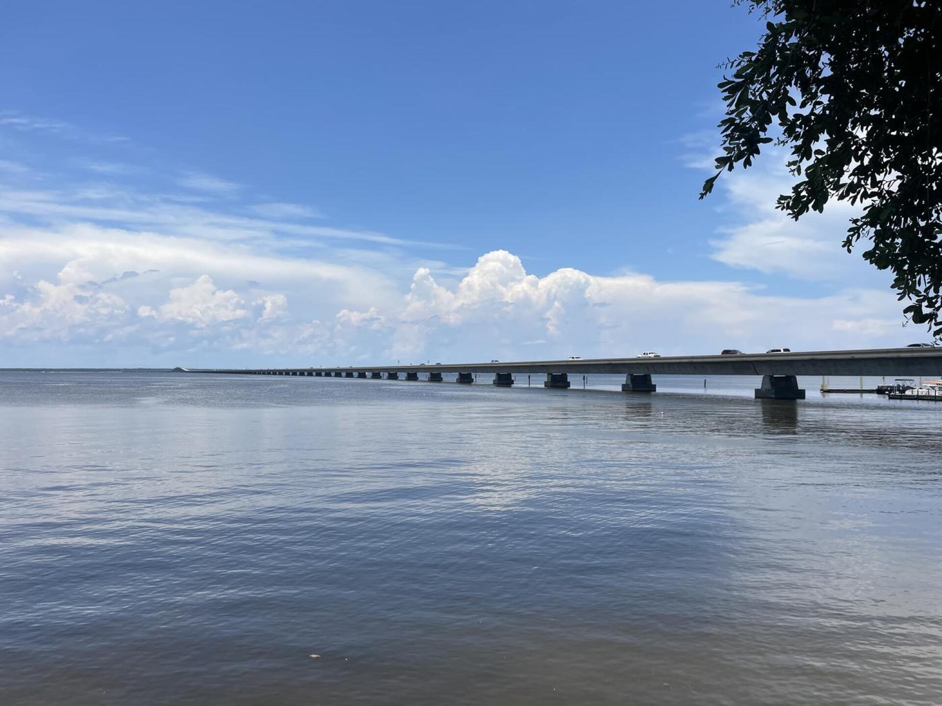 (Photo submitted by u2186351 on 07/06/2023)