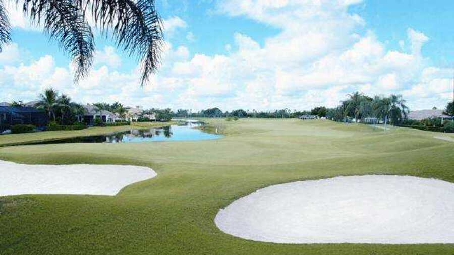 Ibis GCC