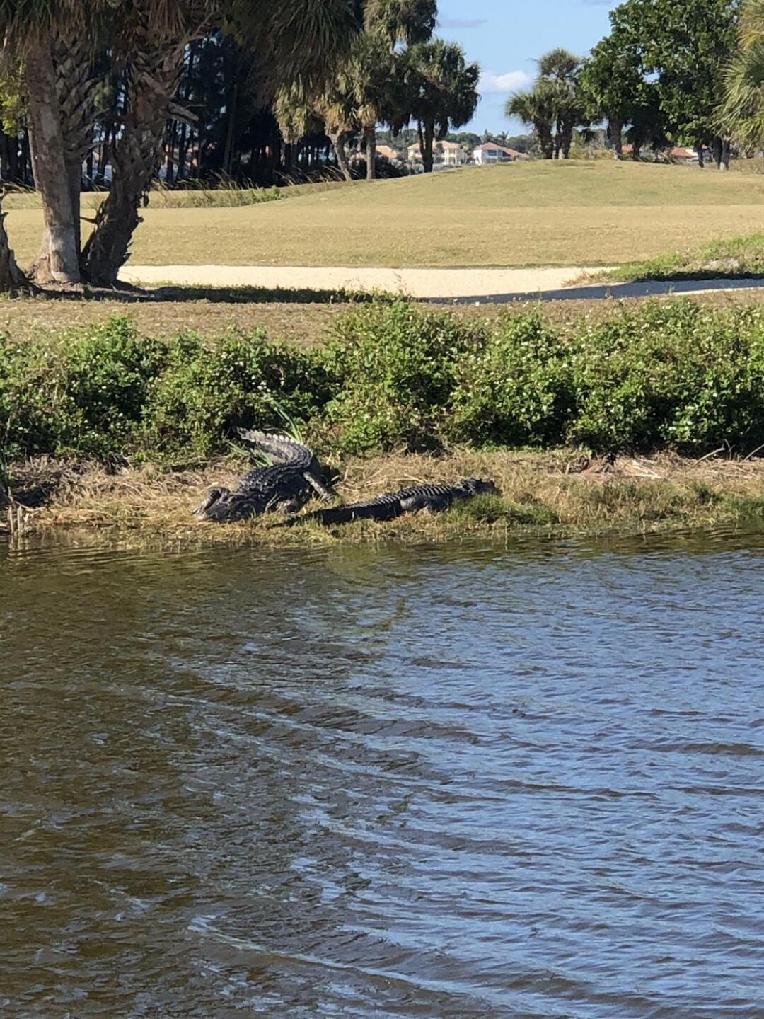 (Photo submitted by Scott5088997 on 12/28/2020)