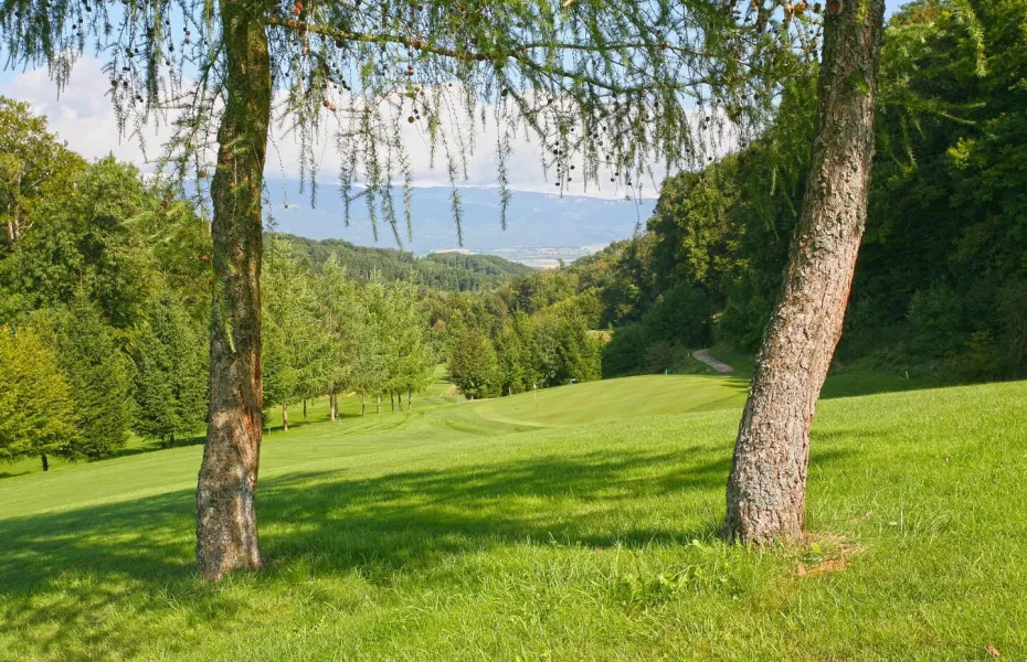 Domaine du Bresil GC