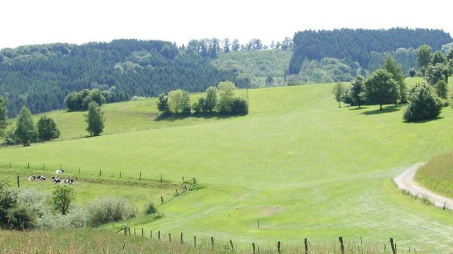 Kuerten Bergerhoehe GC