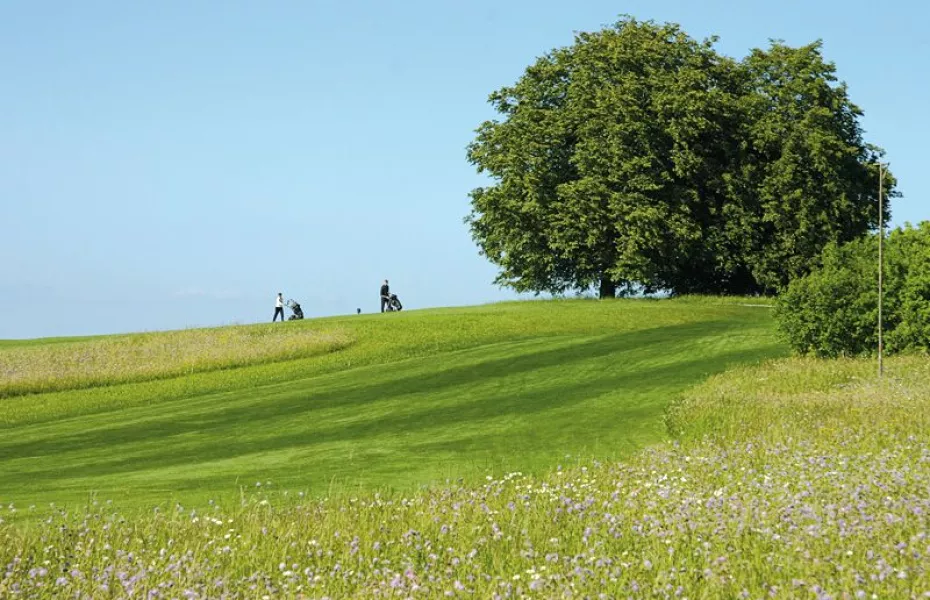 Schloss Goldenberg GC