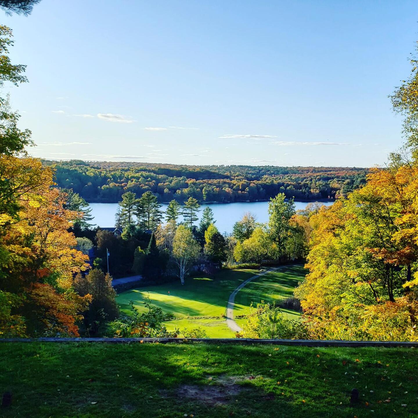 (Photo submitted by u224154541 on 08/08/2020)