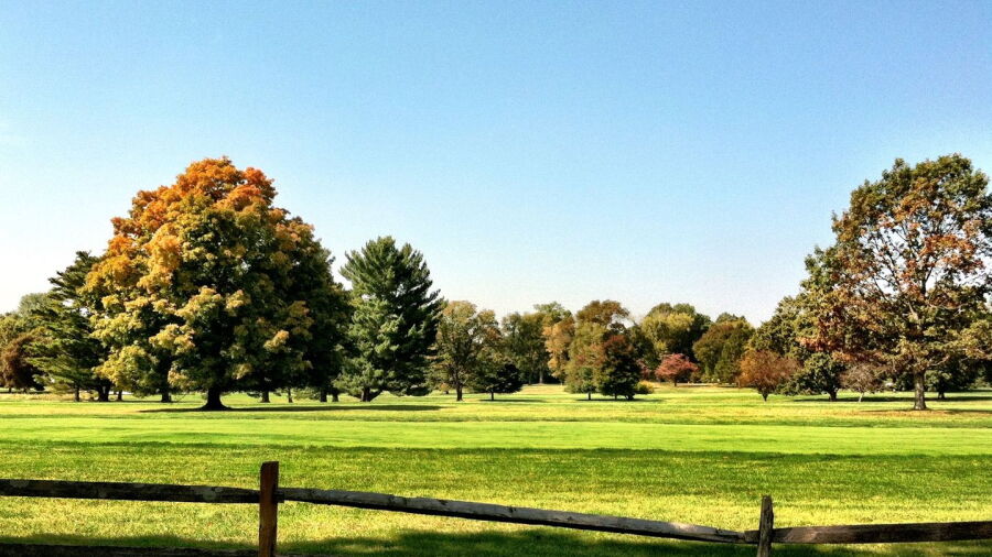 DuPont CC