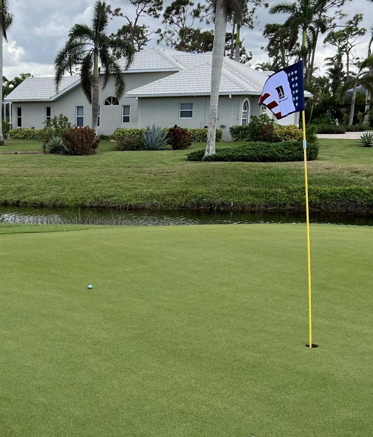 Beautiful greens (Photo submitted by u314163020355 on 11/14/2022)