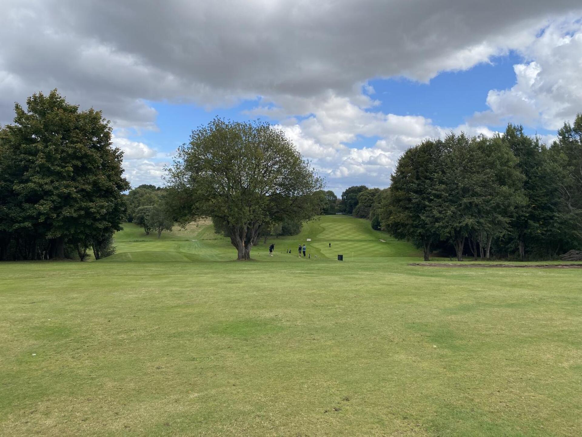 (Photo submitted by NickD999 on 09/13/2025)