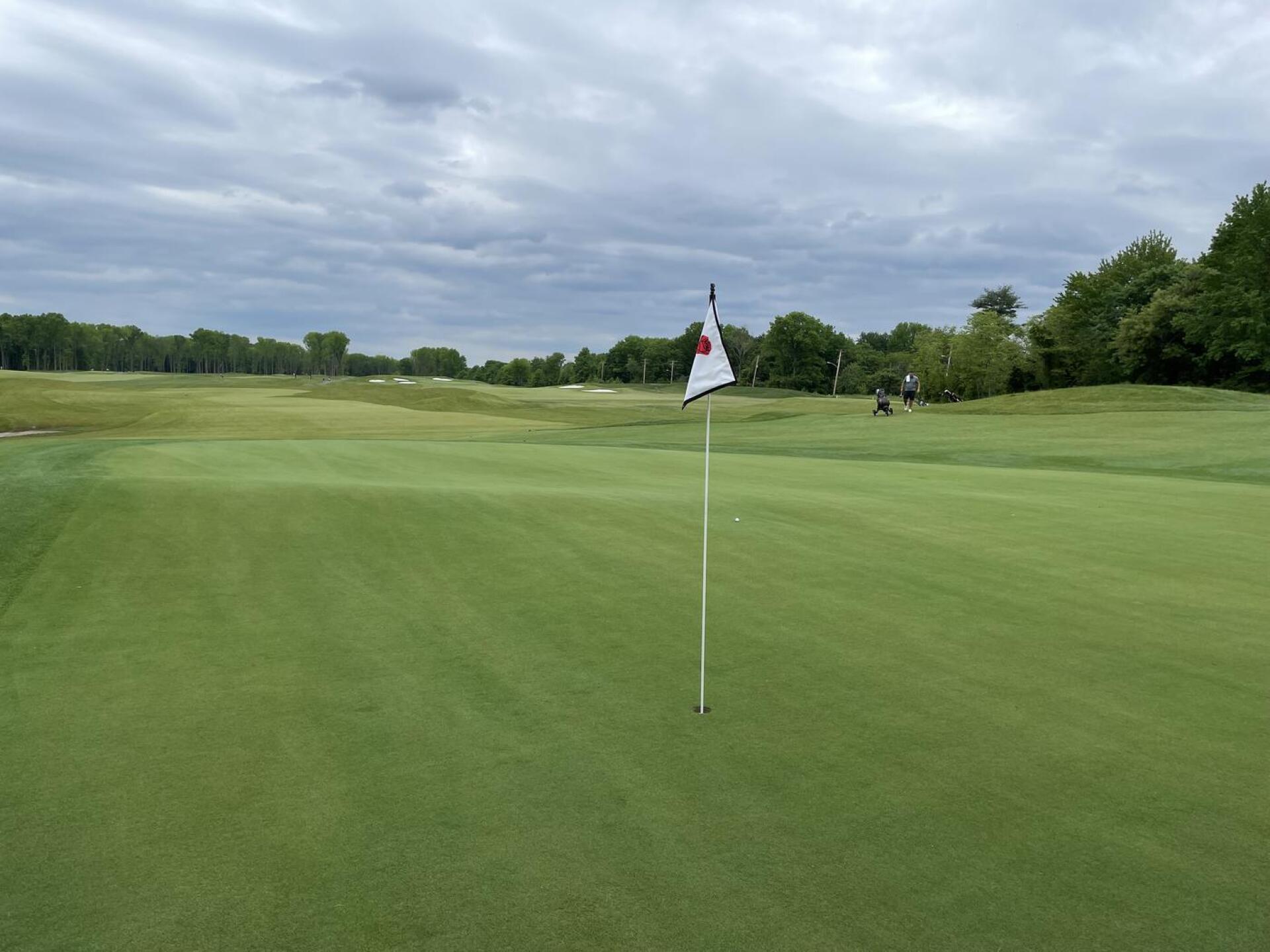 (Photo submitted by bognar on 05/17/2024)