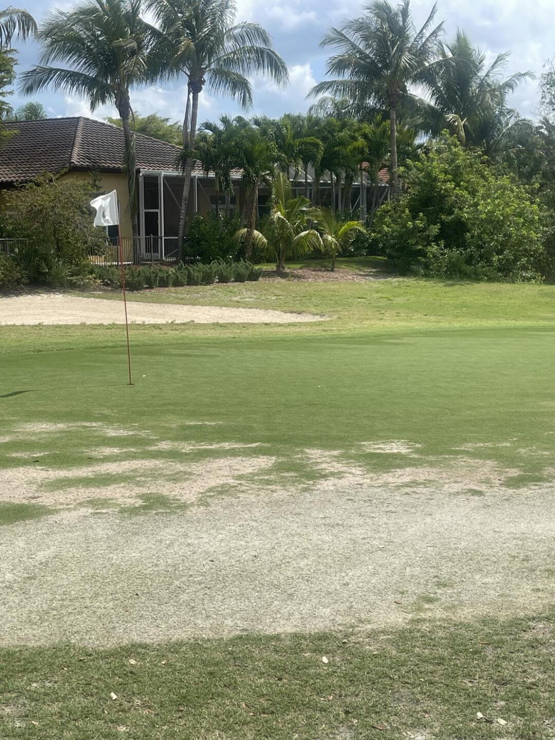 Green condition (Photo submitted by boulderbodyworks1 on 03/25/2022)