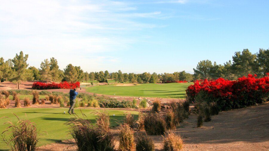 Raven Golf Club Phoenix - bougainvillea