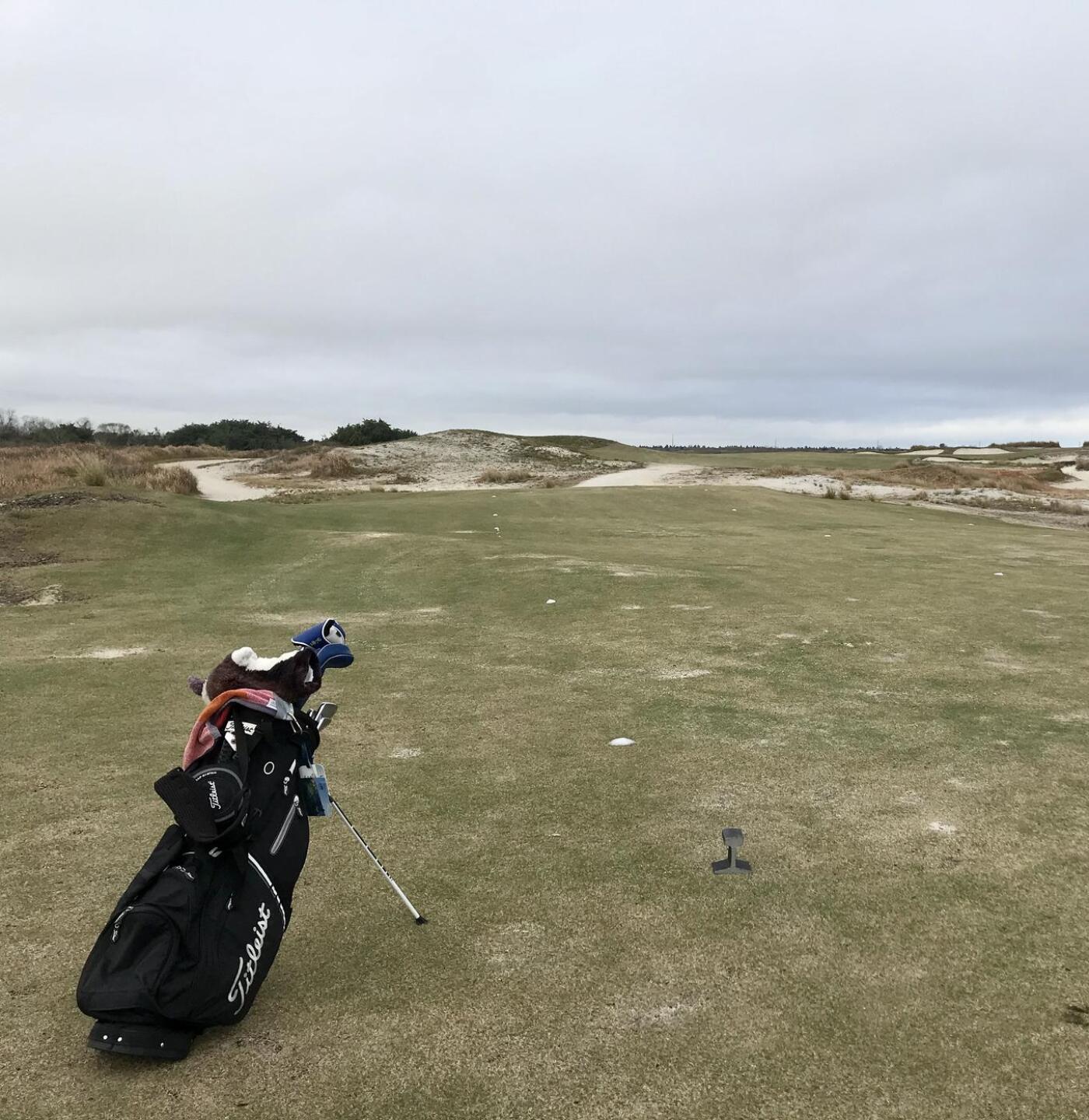 (Photo submitted by QuantumGolfx on 11/22/2021)