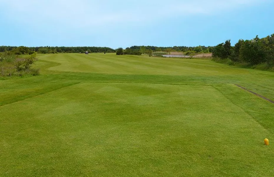 Longhirst Hall Hotel & Golf - The Dawson: #7