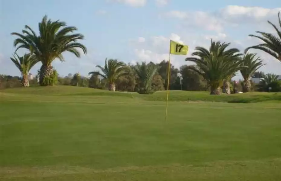 Palm Links GC: #17