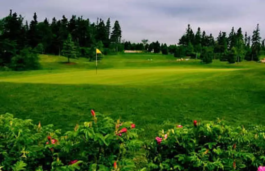 Clovelly GC - Osprey: #3