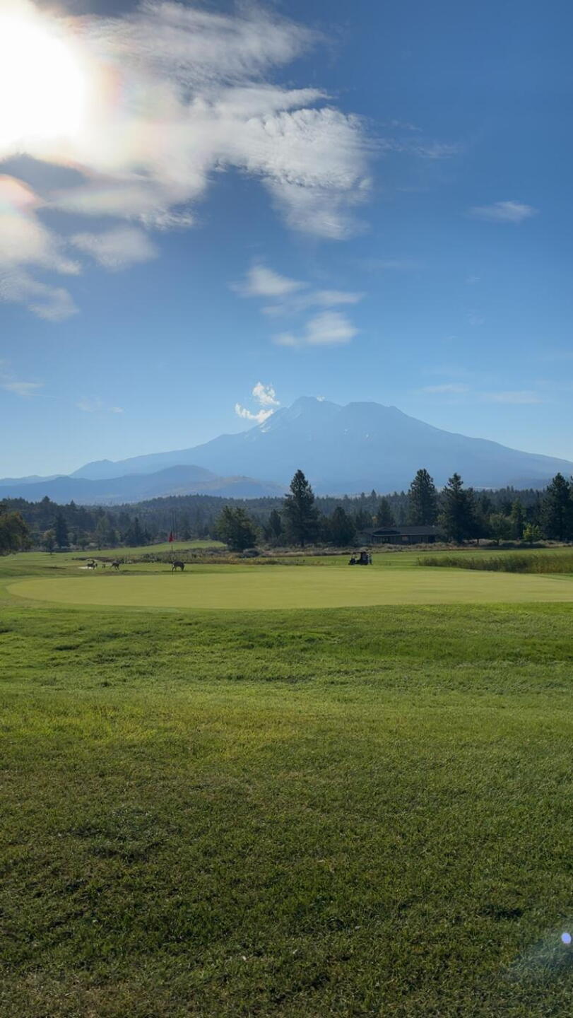 The views are amazing with Mt Shasta in the background (Photo submitted by teriray on 01/01/2026)