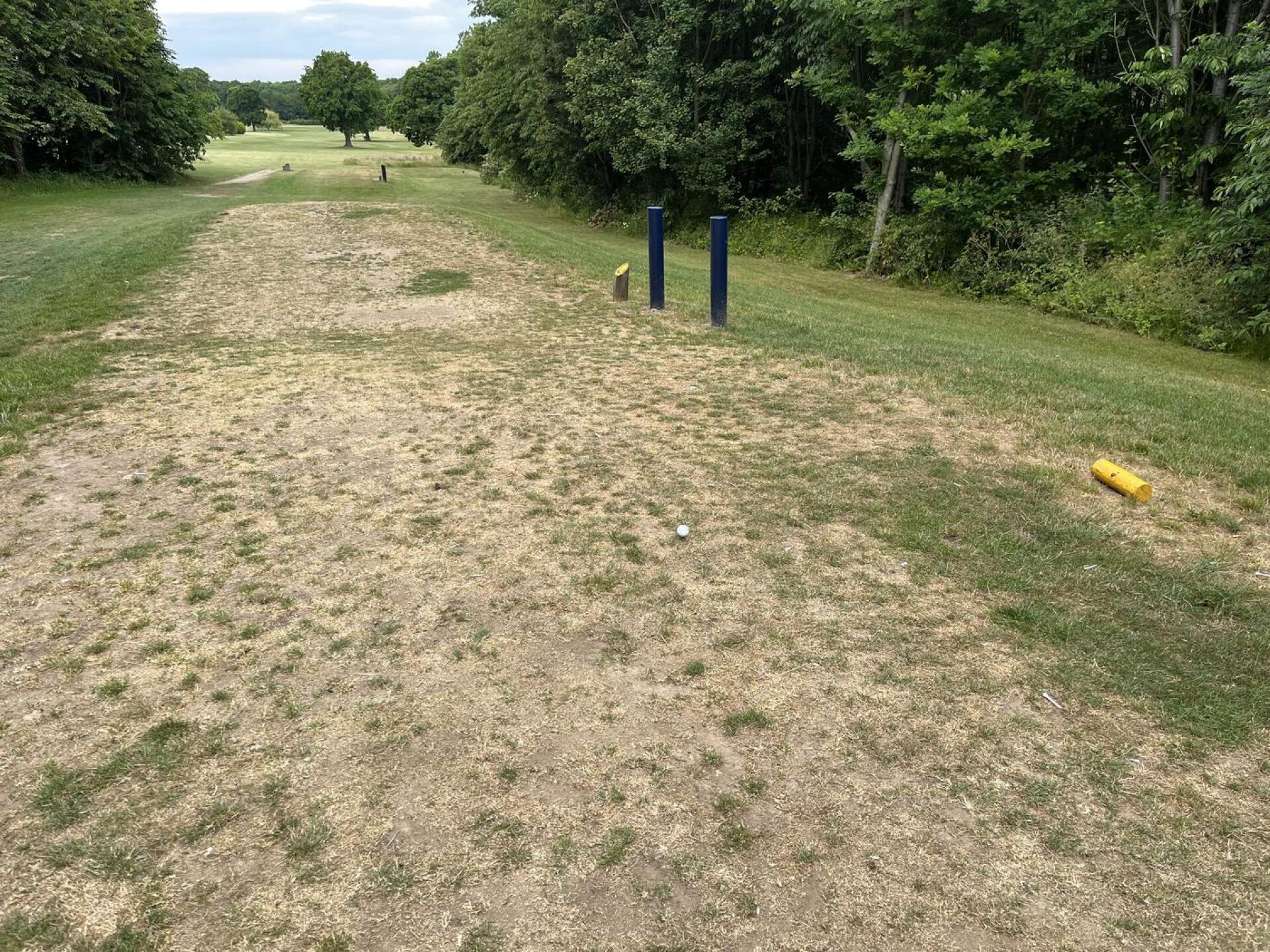 Tee box (Photo submitted by u314161536155 on 06/18/2023)