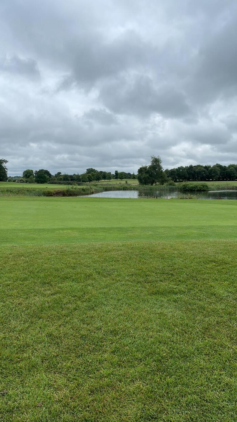 (Photo submitted by jezcorner on 06/22/2023)