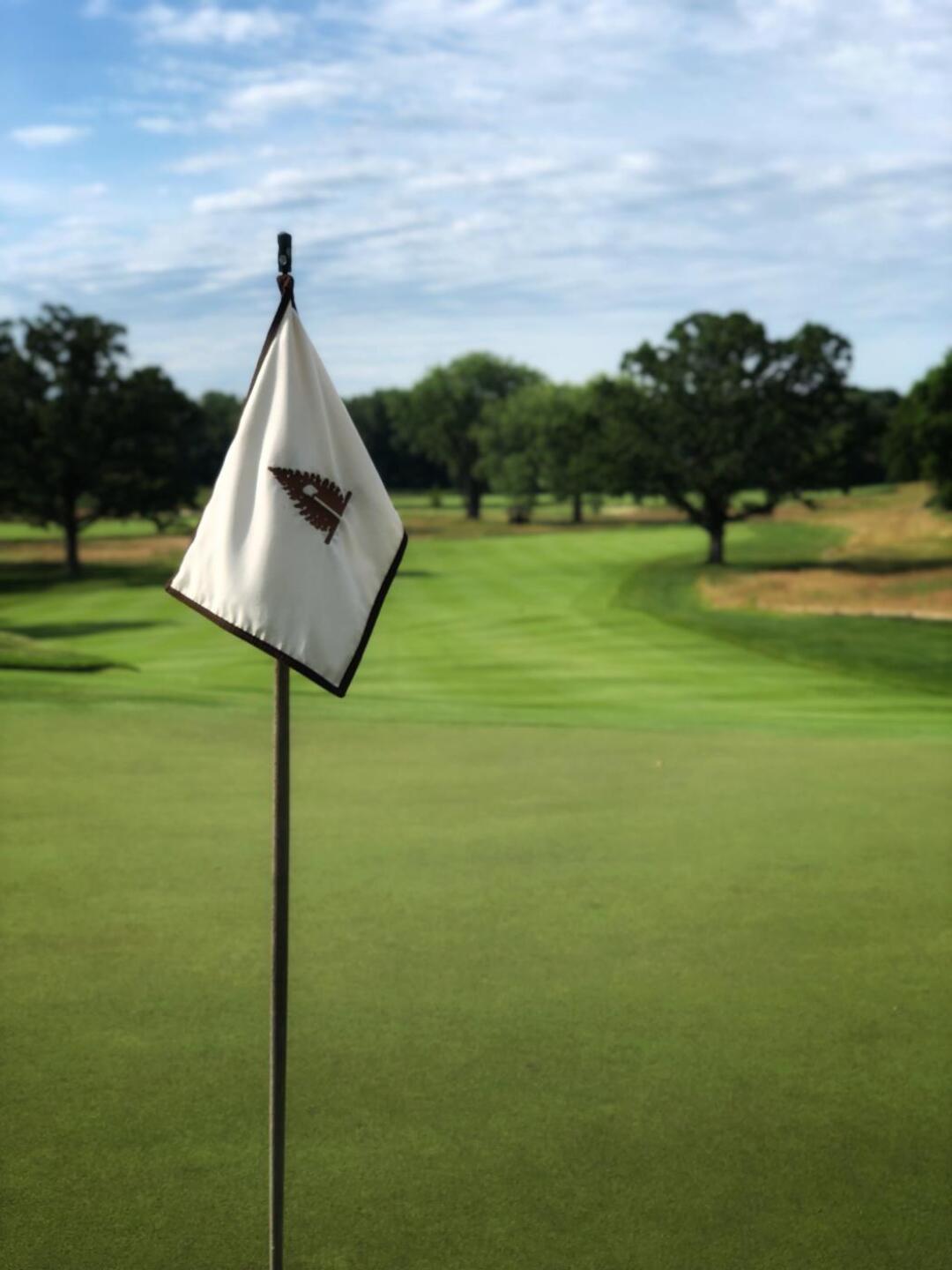 (Photo submitted by SxZr9OspPEl3pbqKTuvQ on 11/11/2019)