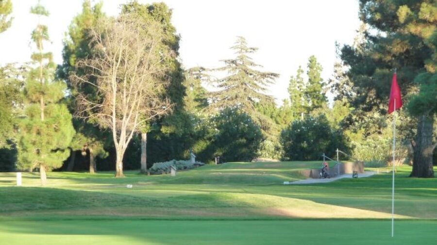 Belmont CC