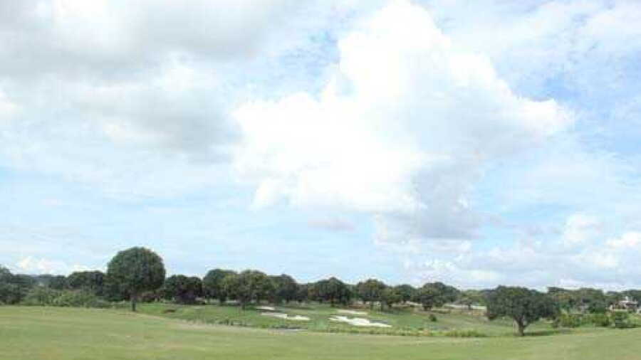 The Orchard GCC: Practice area