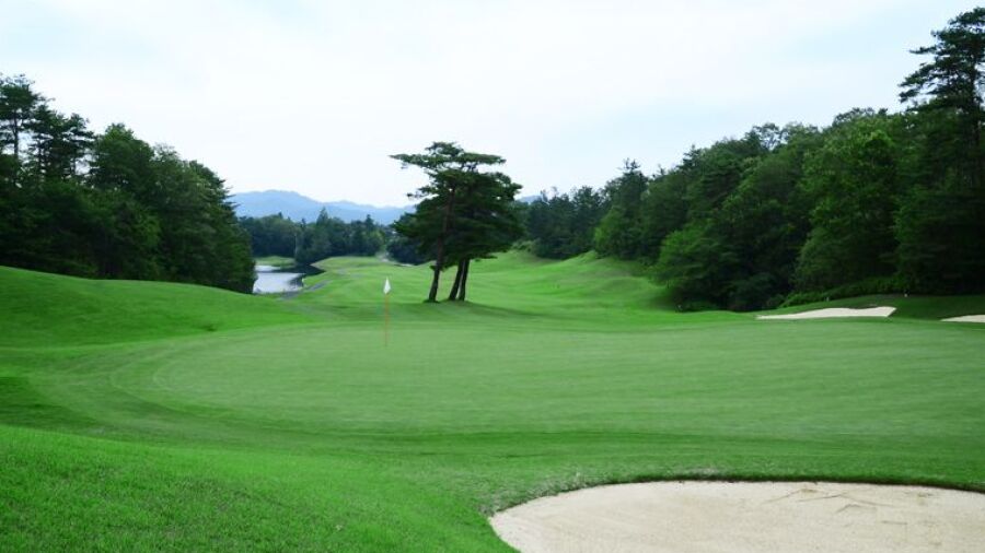 Japan Classic CC - King: #1