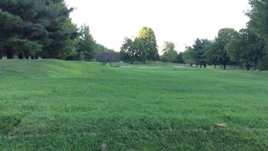 Buena Vista GC: #7