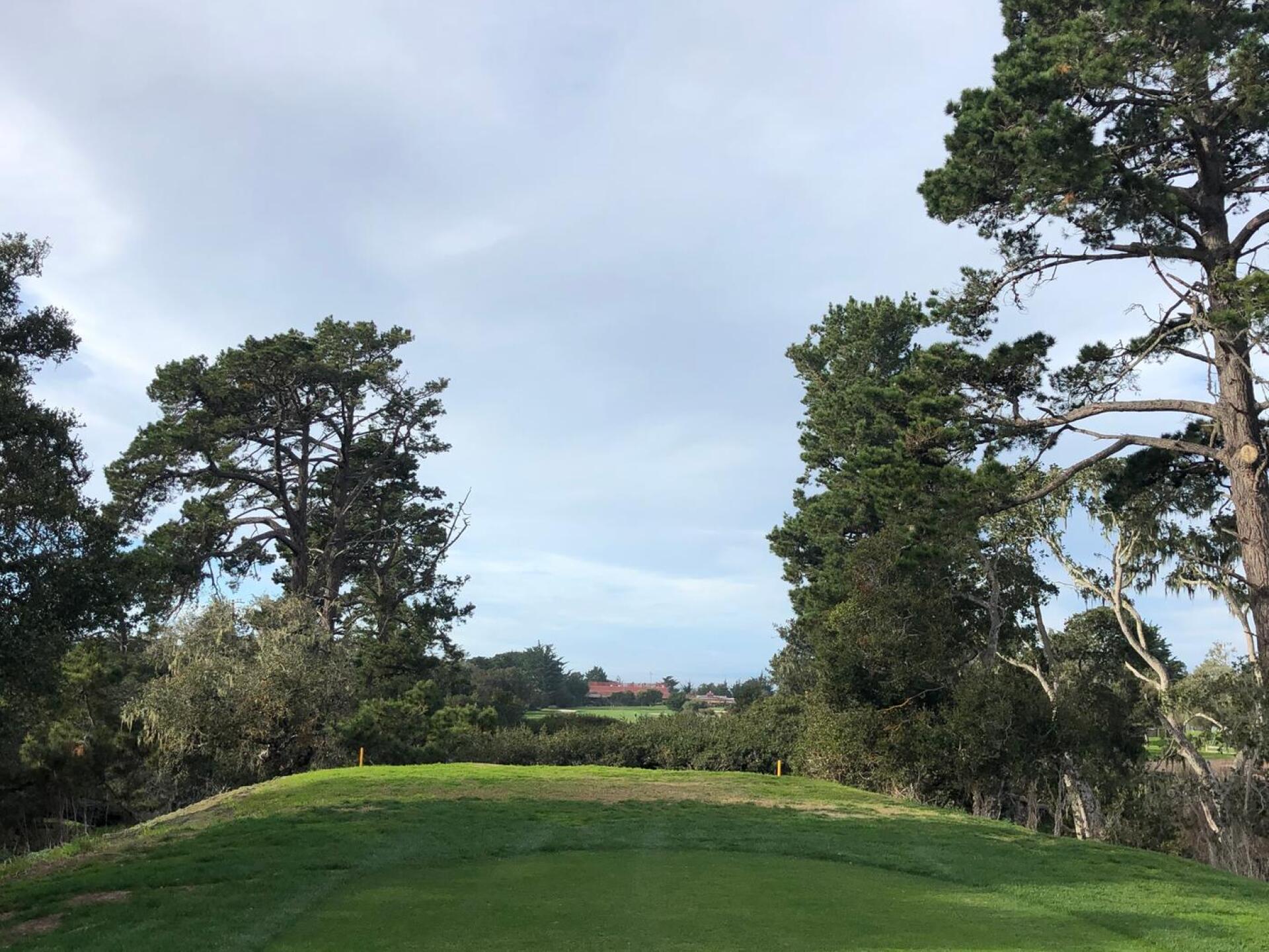 Straight down the pipe ! (Photo submitted by u7326787 on 01/25/2020)