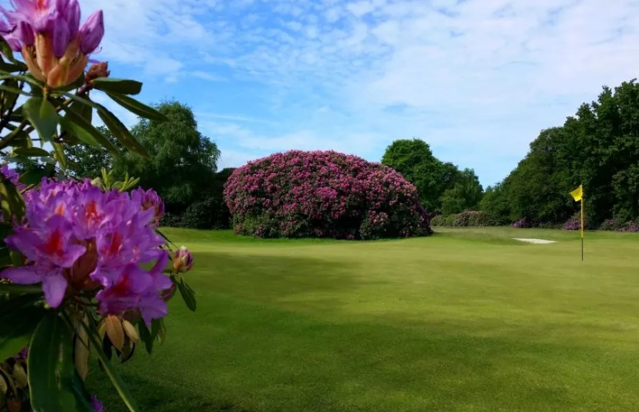 Dorset GCC - Woodland: #7