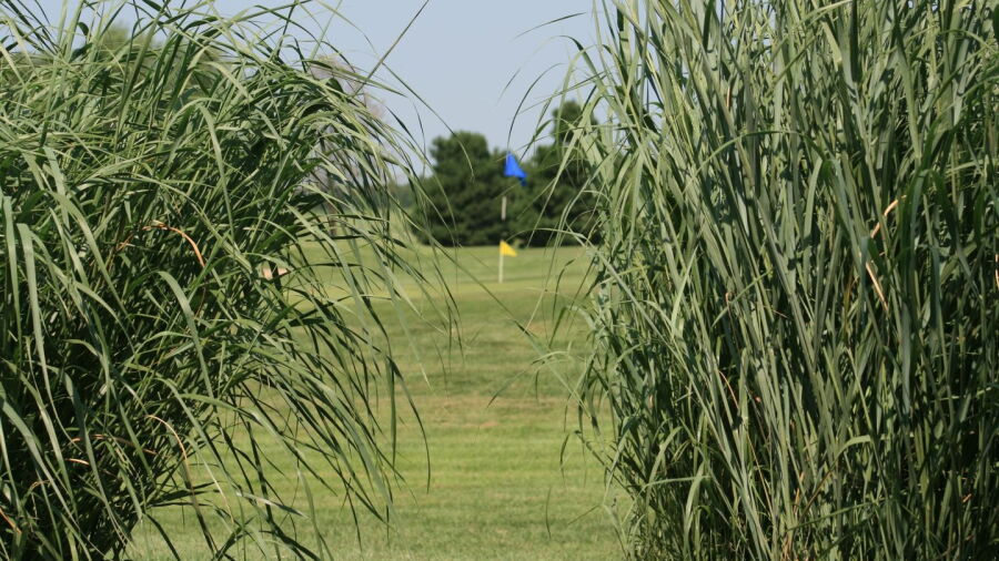 Links at Pretty Prairie