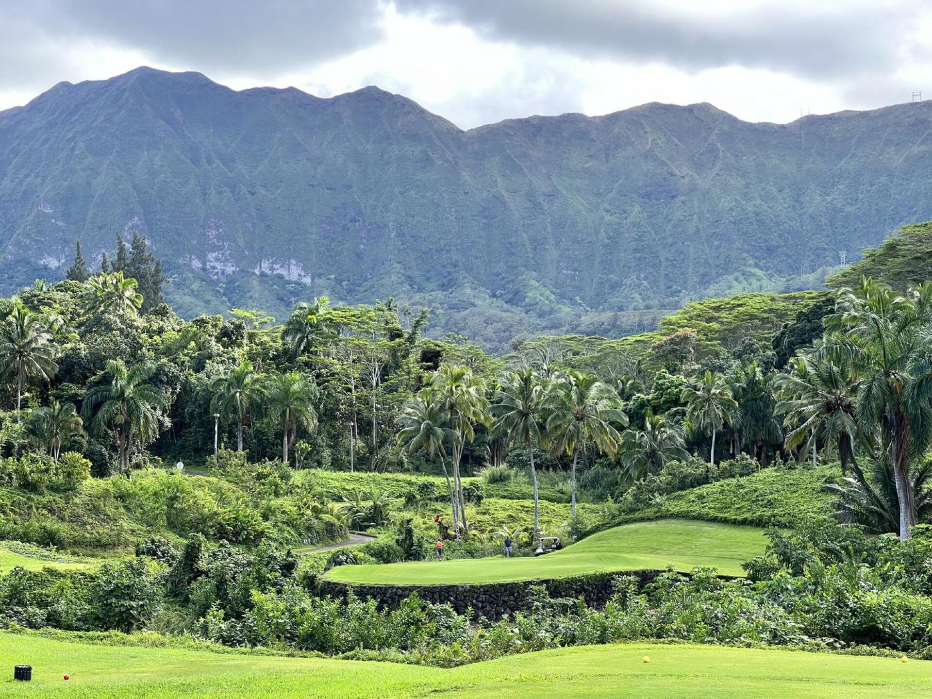 (Photo submitted by u107830634 on 12/23/2022)