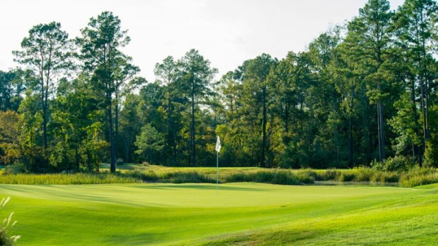 Whispering Pines GC - The Needler