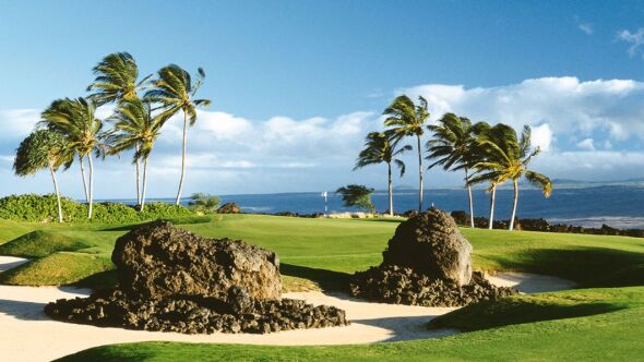 Waikoloa Beach Resort - Kings: #5