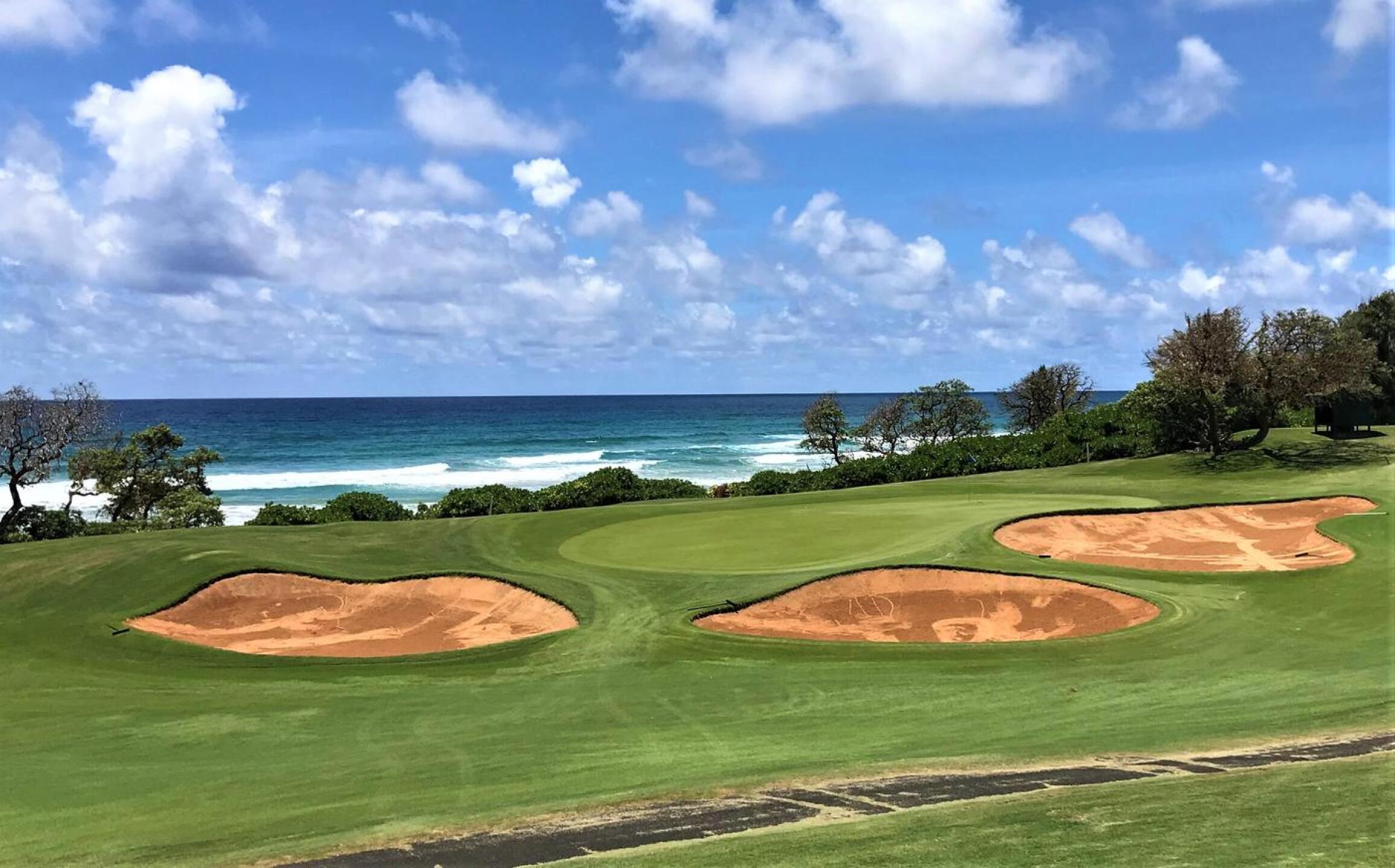 No. 17 (Photo submitted by JasonDeeganGA on 07/13/2021)