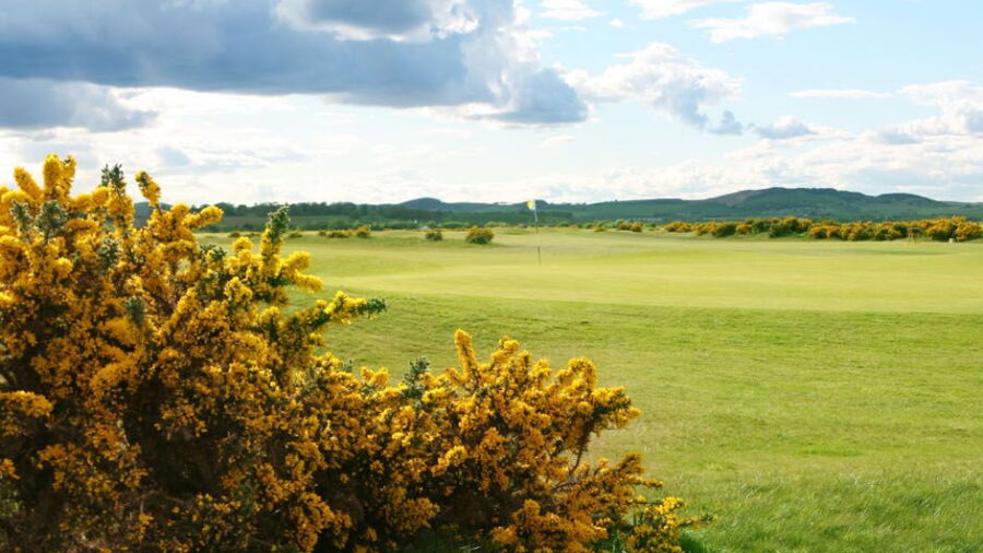 St. Andrews Links - Strathtyrum: #7