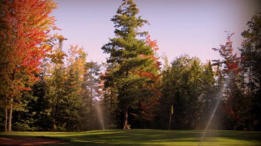 Poplar GC