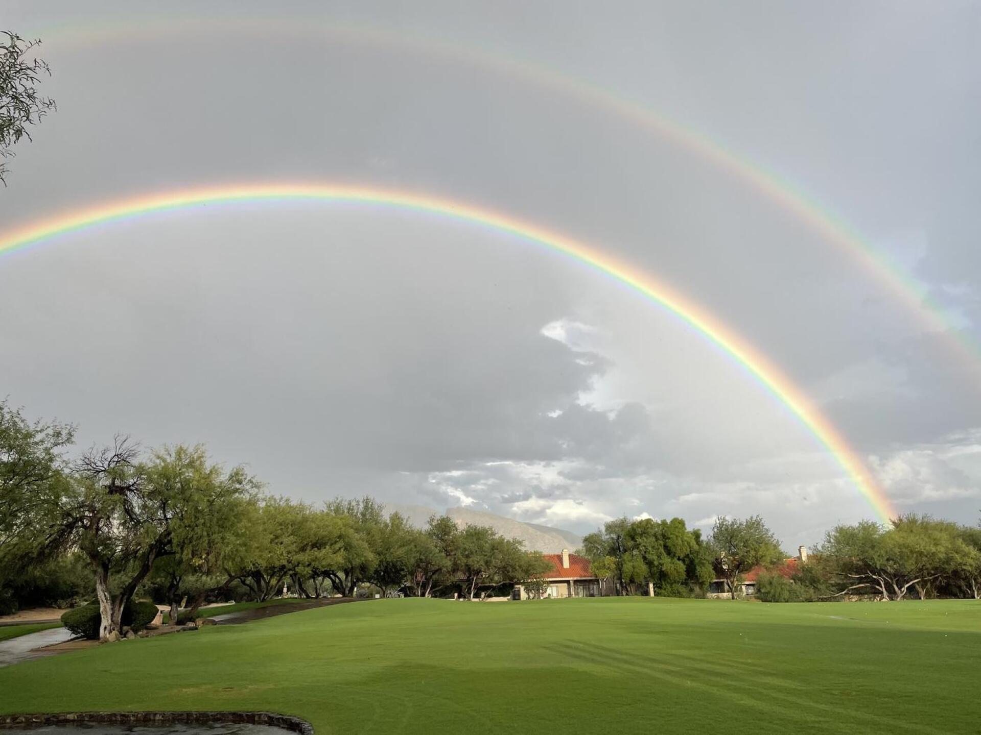 (Photo submitted by u000004321456 on 10/12/2022)