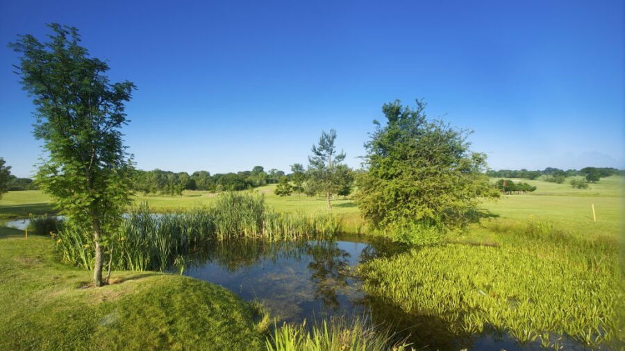 Water hazard at Eaton GC
