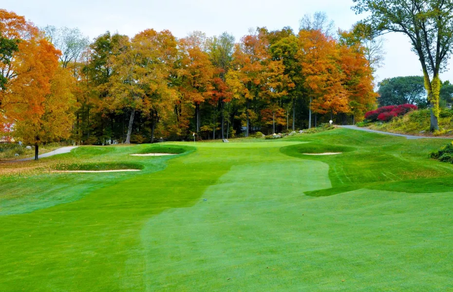 CC of Waterbury: #13