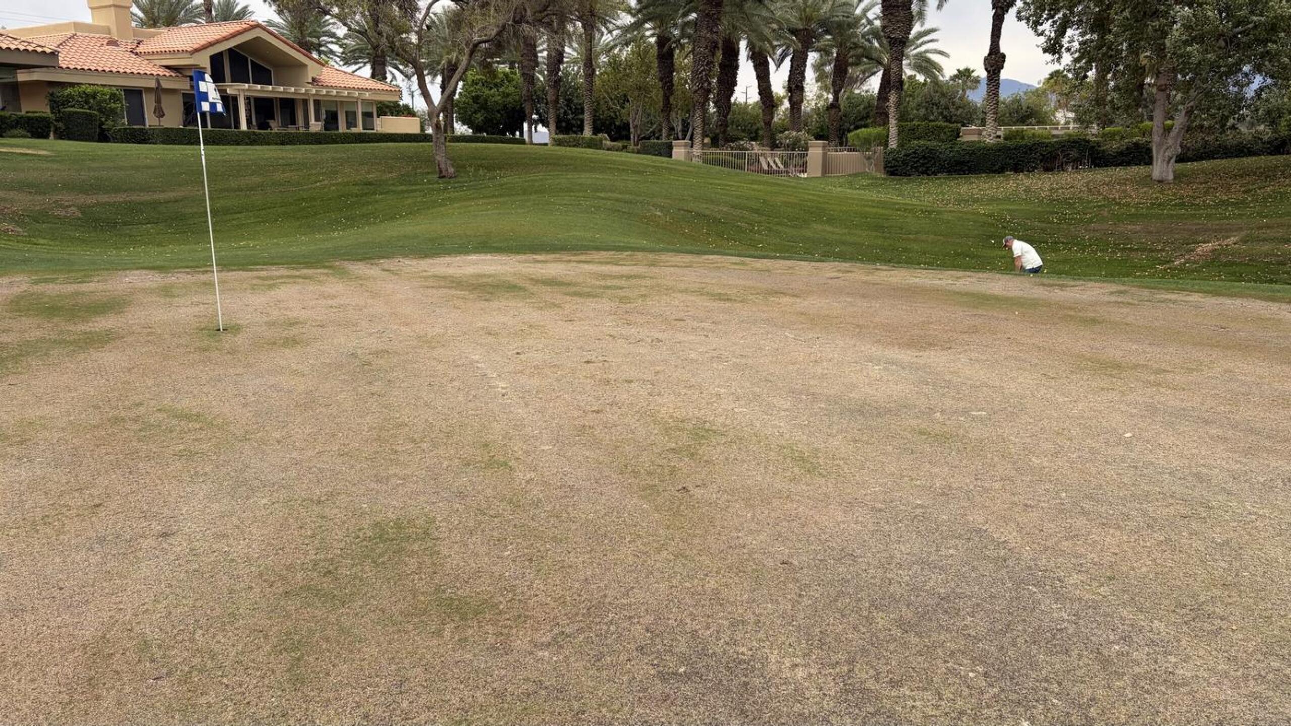 (Photo submitted by Stuartallen on 03/31/2026)