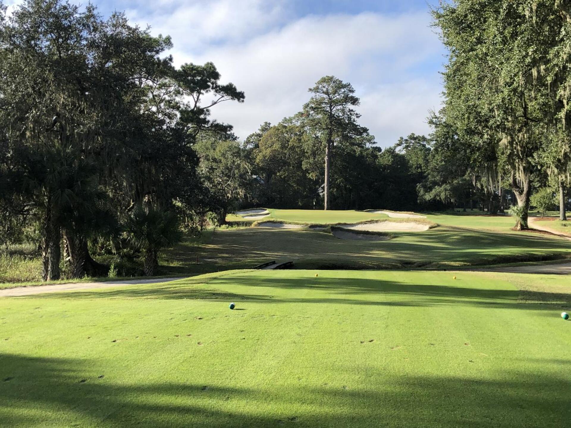 (Photo submitted by DMcK1120 on 10/25/2020)