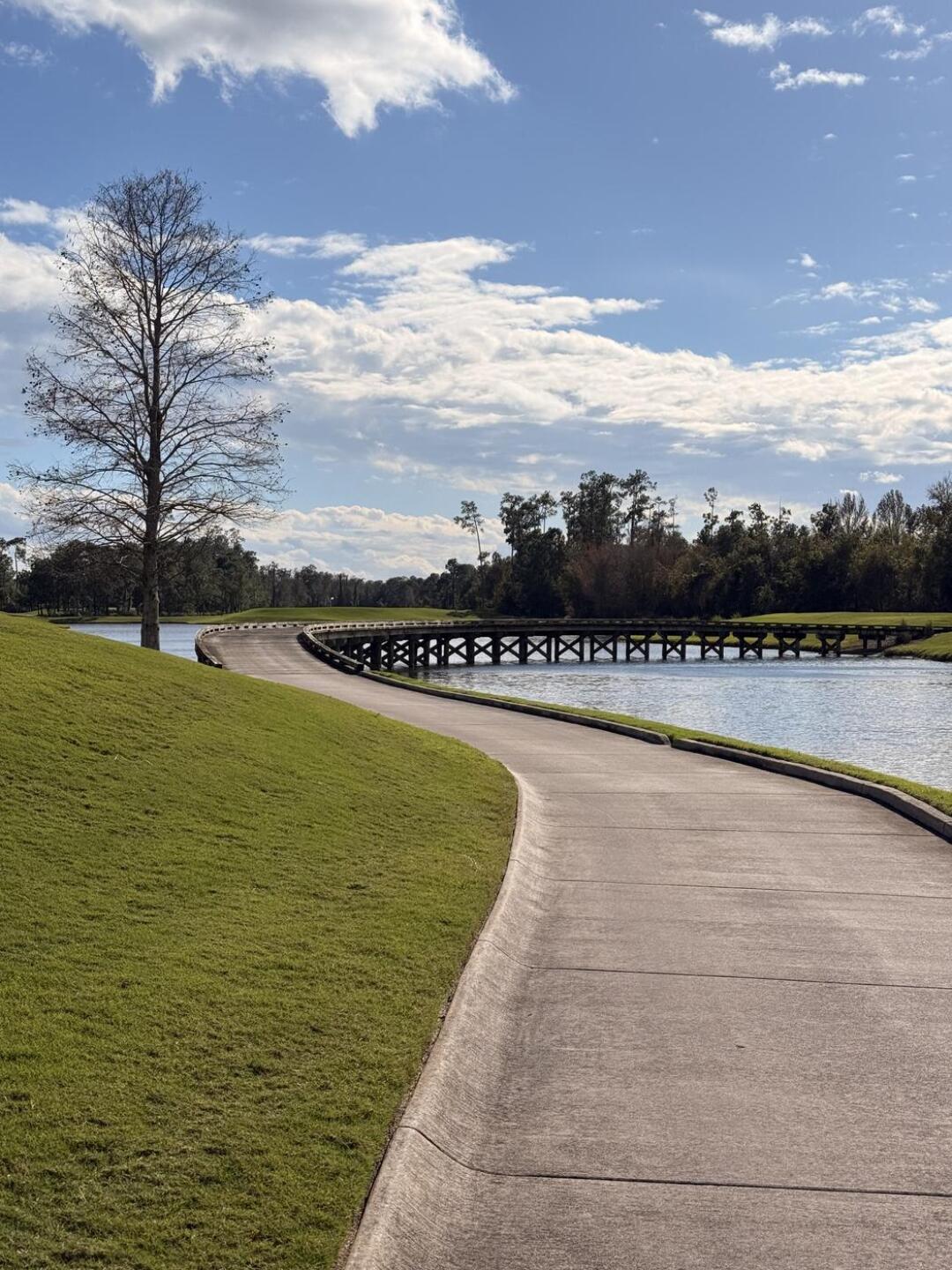 (Photo submitted by G0lfGuy on 01/17/2026)