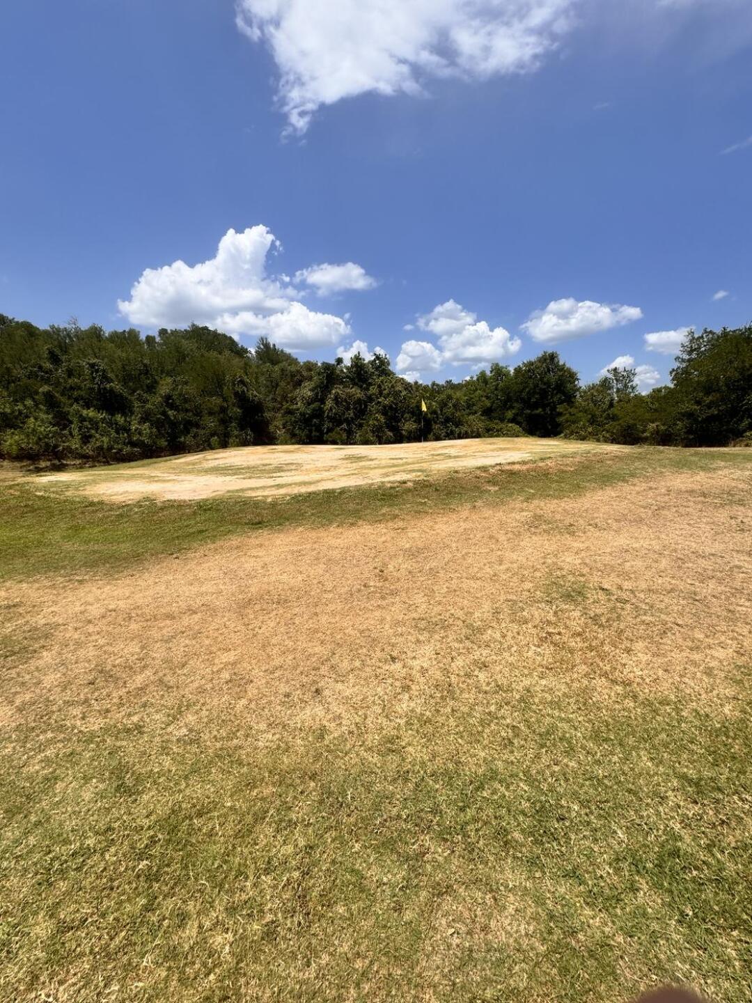 No putt (soup) for you! (Photo submitted by insideoout on 07/07/2024)