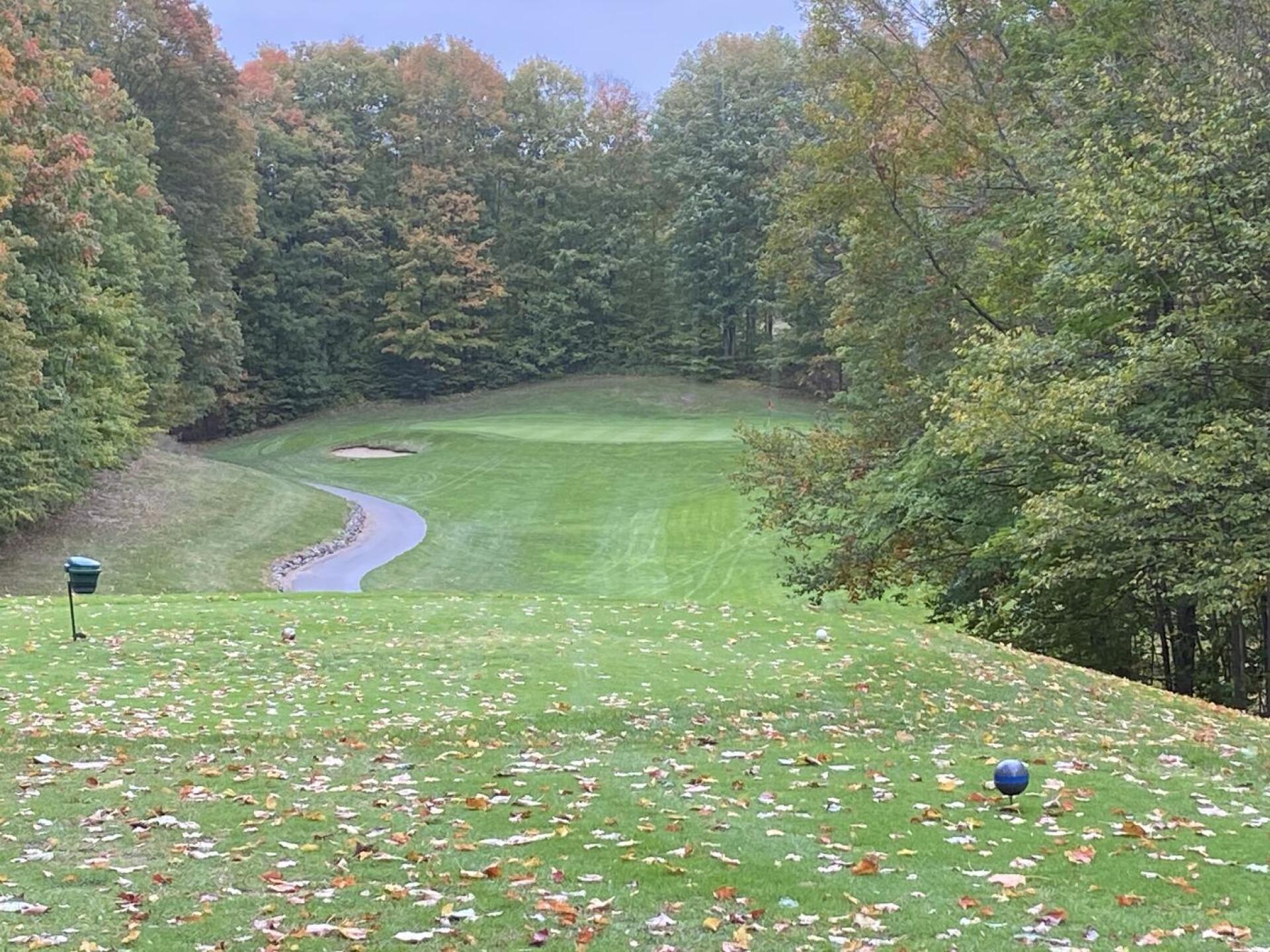 (Photo submitted by u183373765 on 10/09/2023)