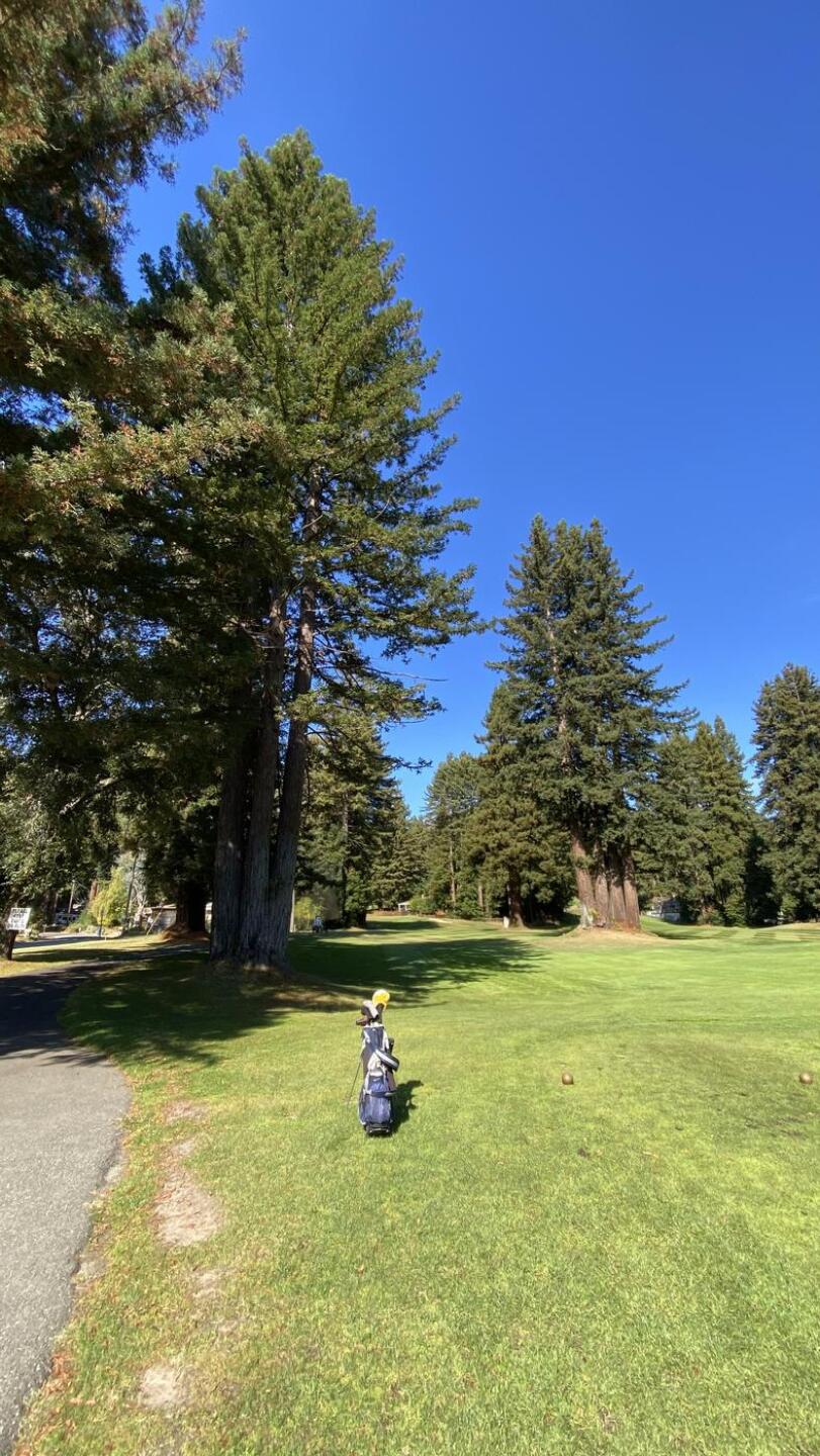 (Photo submitted by AUALfOta1a3qYnwhTaC0 on 10/17/2025)