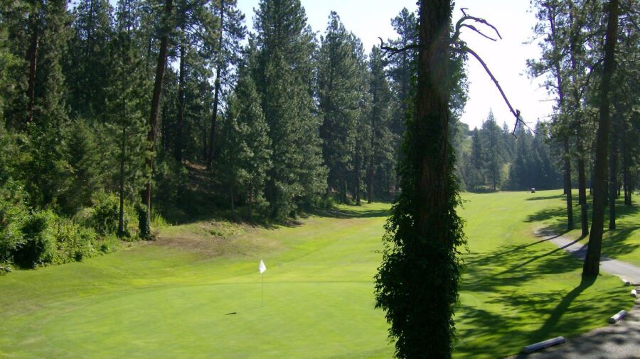 Downriver GC
