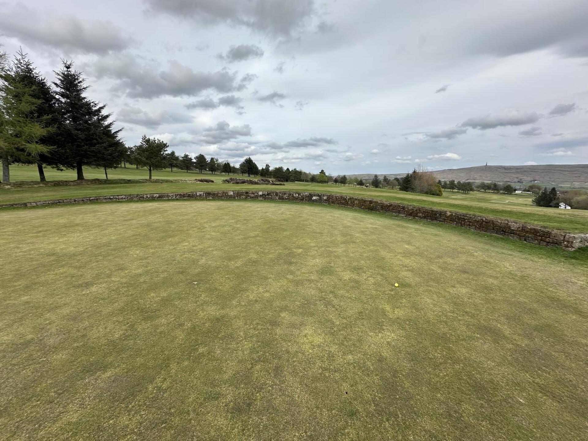 (Photo submitted by Joey1892 on 04/15/2025)