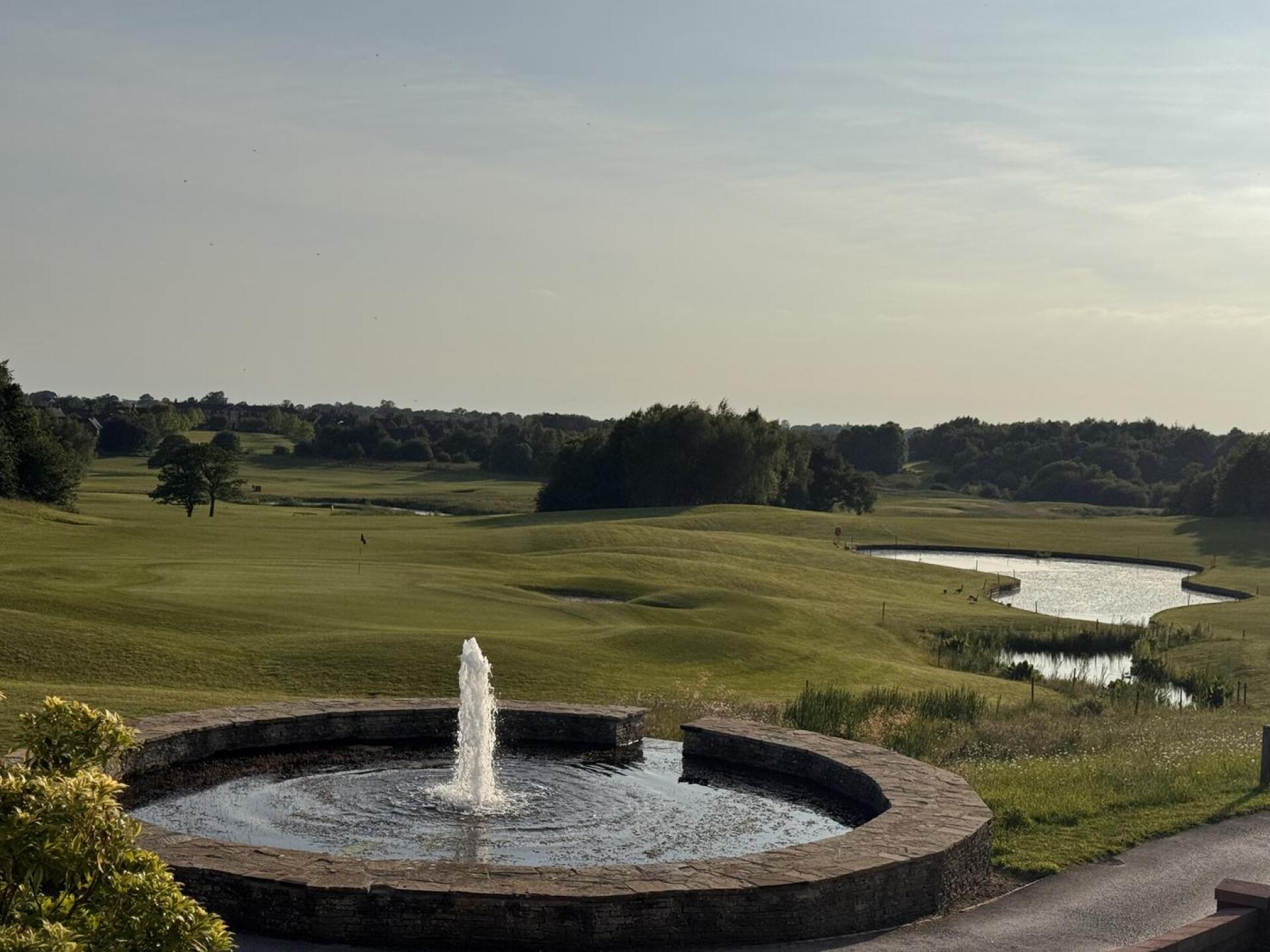 (Photo submitted by F9tw9EUtOy6ikYXXAwKl on 06/12/2025)