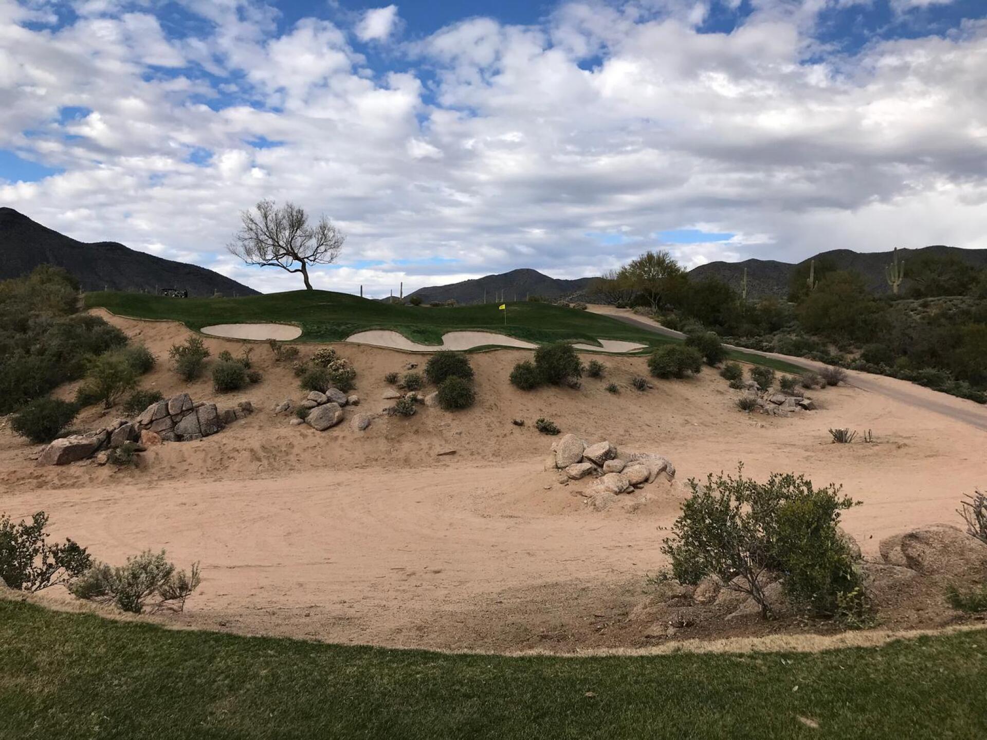 (Photo submitted by JasonDeeganGA on 04/01/2019)