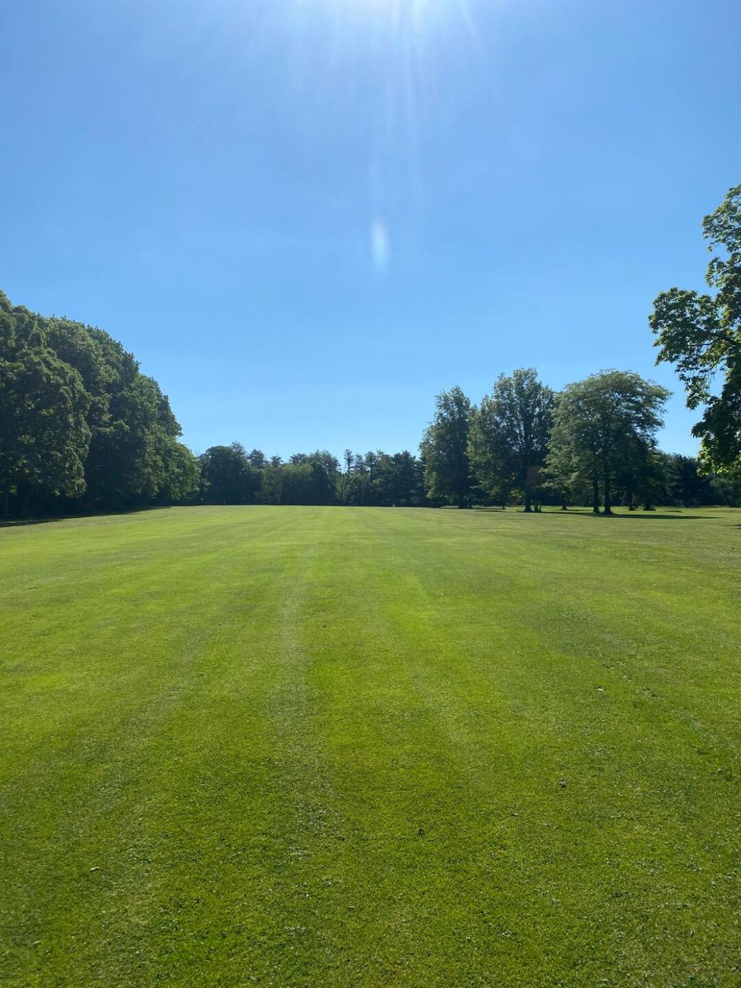 (Photo submitted by jamieamccauley on 06/25/2020)